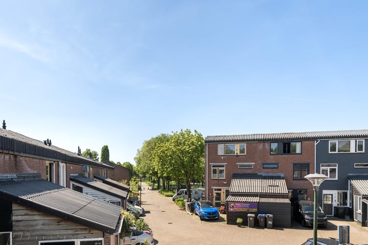 Foto 20 van Zebraspoor 174