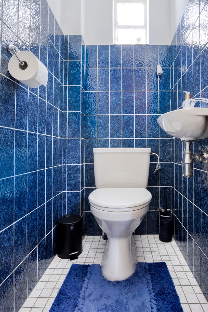 Foto 12 van Poelhekkelaan 9