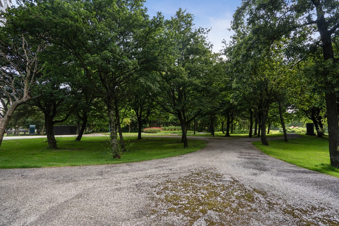 Photo 23 of Staalmeesterslaan 273