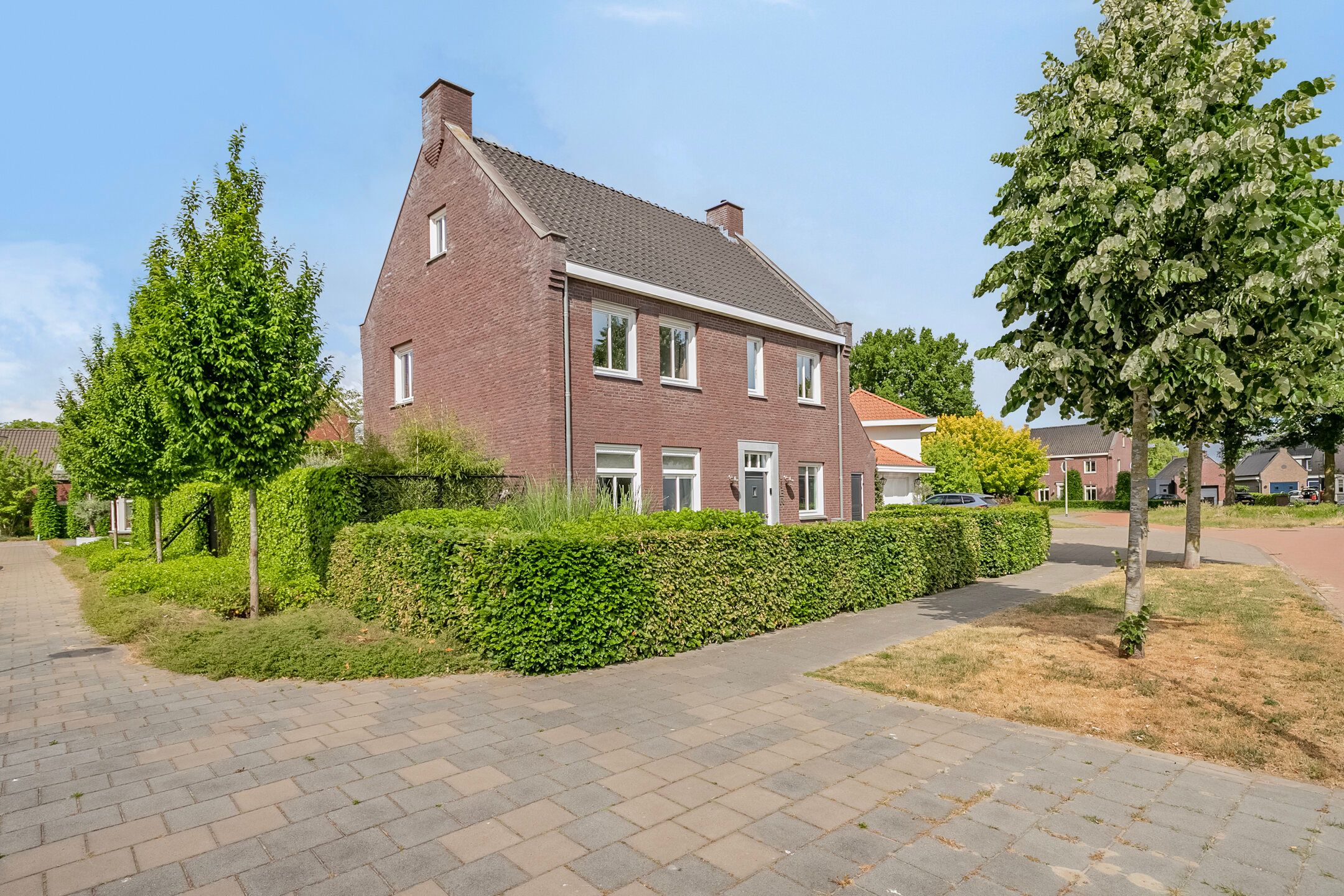 Photo 51 of Hageheld 4