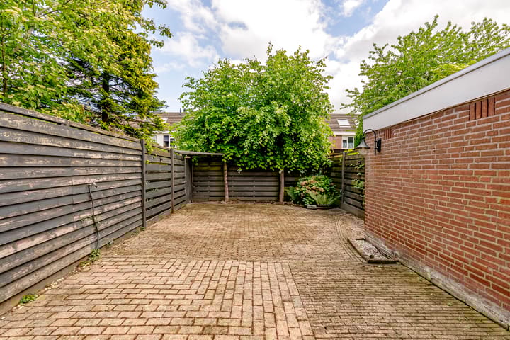 Foto 41 van Botter 36 15