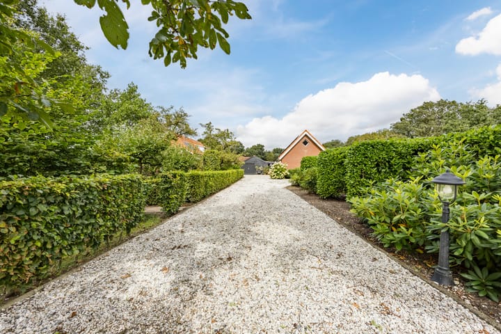 Foto 44 van Koestraat 25