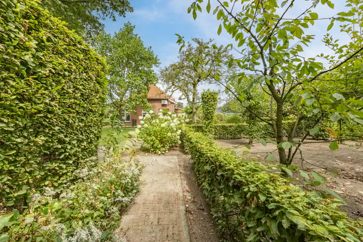 Foto 45 van Koestraat 25