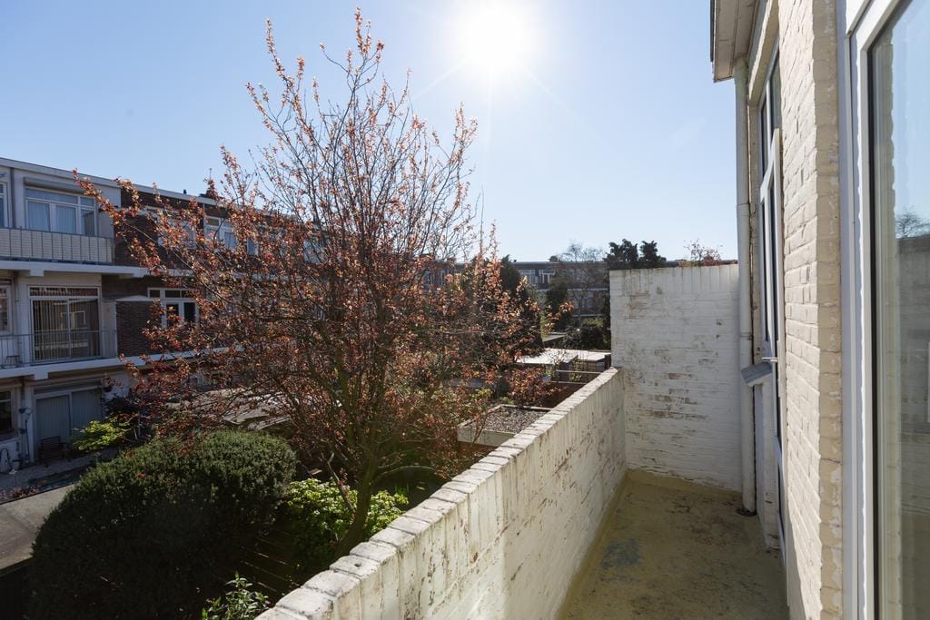 Foto 19 van Sterappelstraat 37