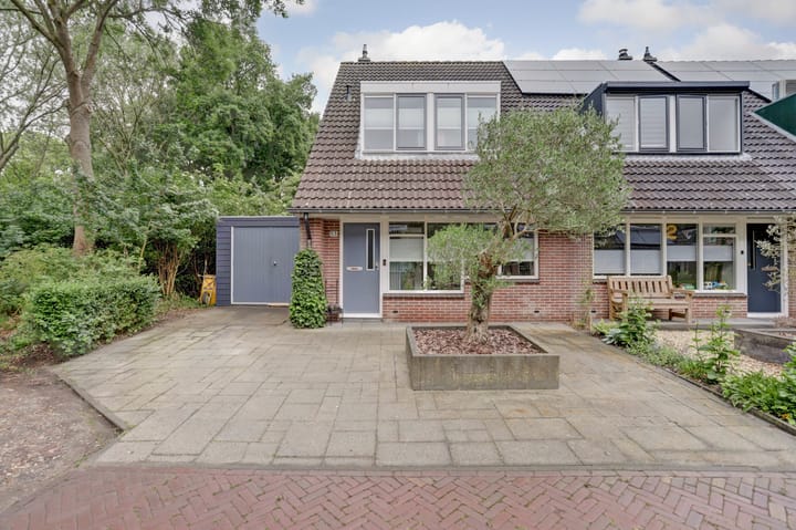 Bekijk foto van Roggenplaat 53
