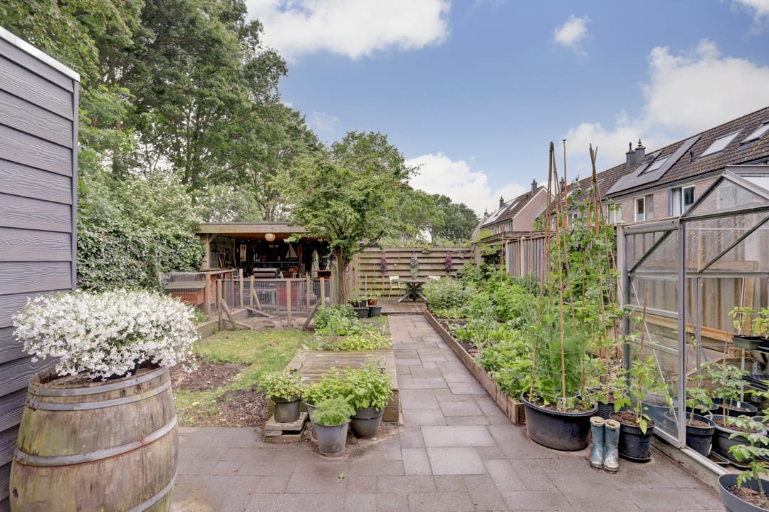 Foto 23 van Roggenplaat 53