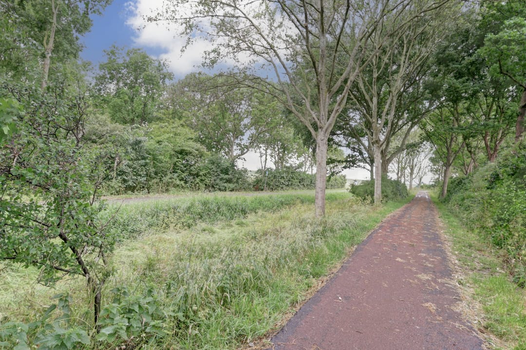 Foto 26 van Roggenplaat 53