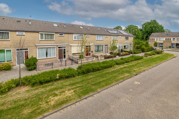 Foto 6 van Dwarsvliet 8