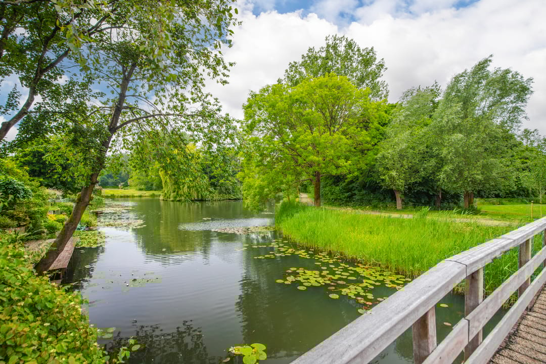 Foto 32 van Verenwei 41