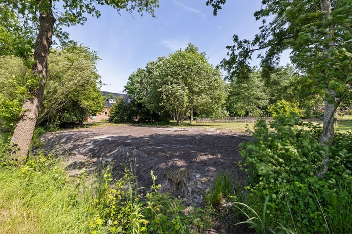 Foto 43 van Roderwolderweg 17