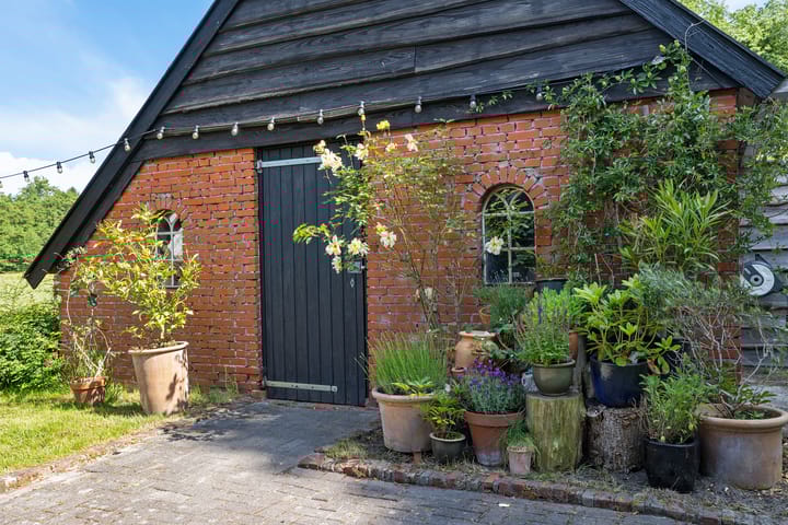 Foto 48 van Roderwolderweg 17