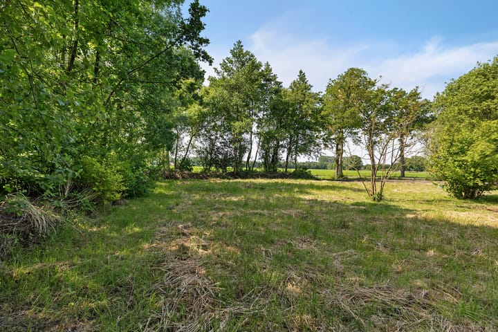 Foto 60 van Roderwolderweg 17