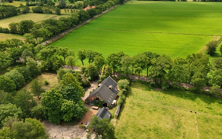 Foto 62 van Roderwolderweg 17