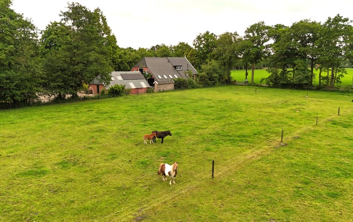 Foto 64 van Roderwolderweg 17