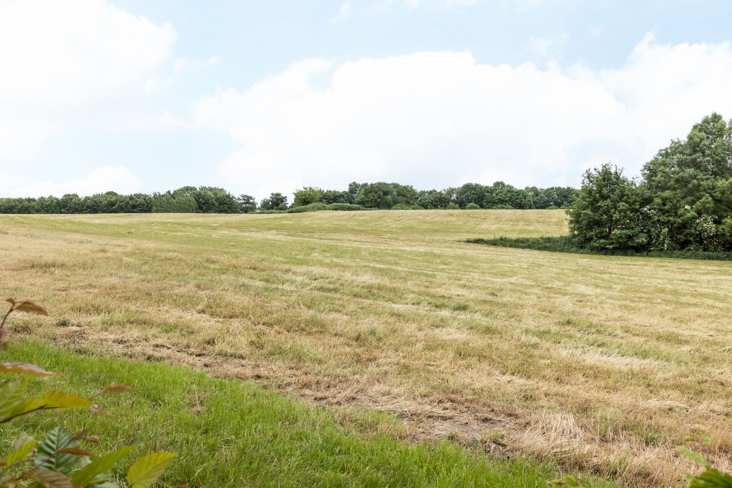 Foto 35 van Anthemiahof 14-B