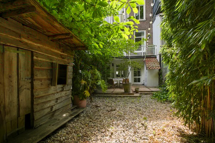 Foto 20 van Willemsparkweg 36