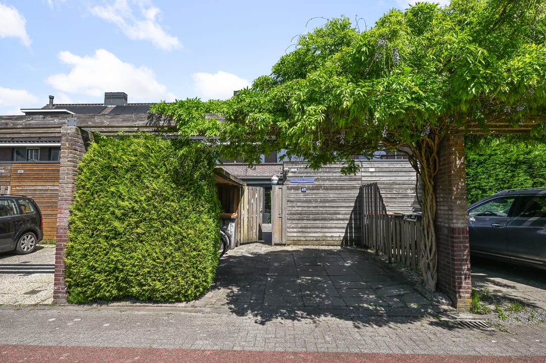 Foto 2 van Veldmuis 40