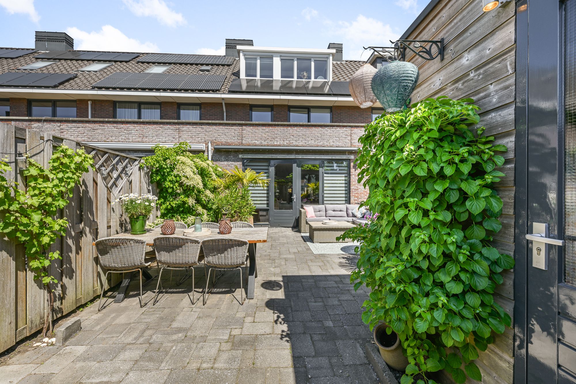 Foto 3 van Veldmuis 40