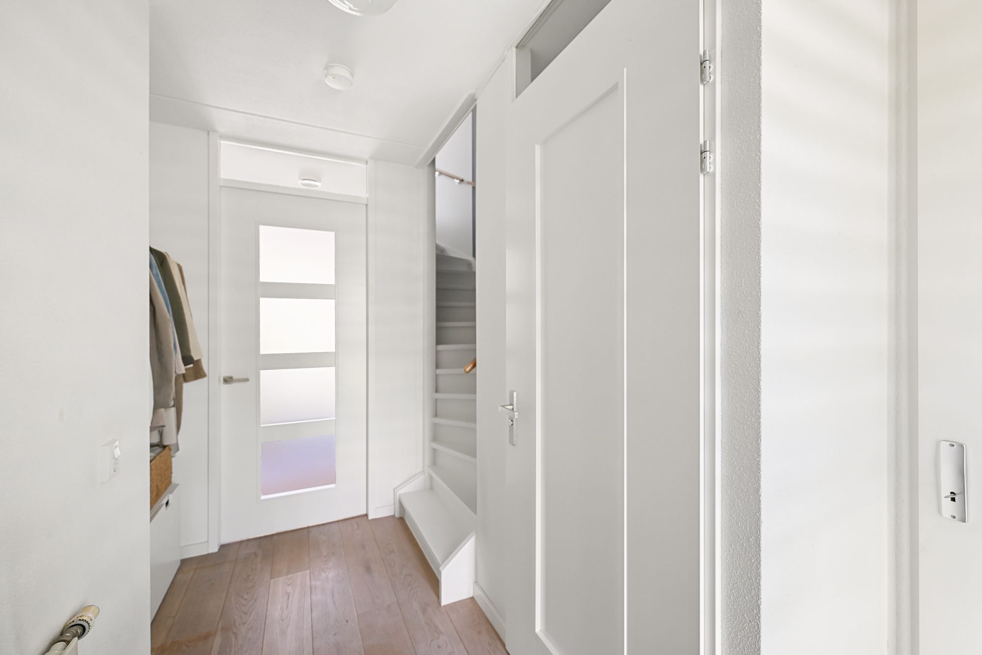 Foto 15 van Veldmuis 40