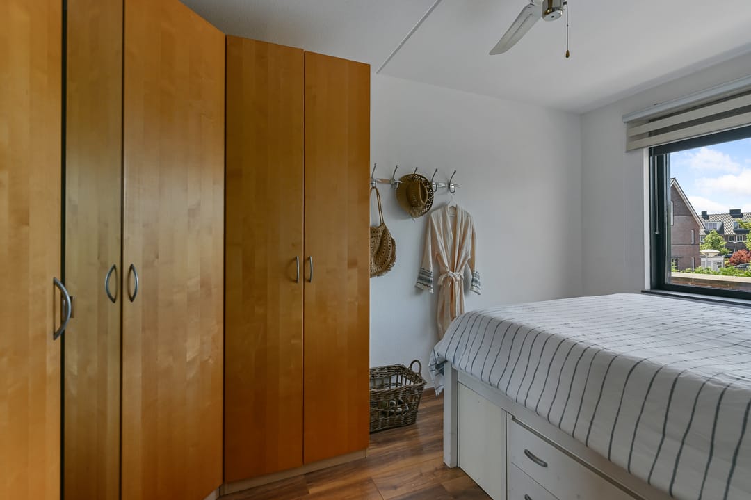 Foto 17 van Veldmuis 40