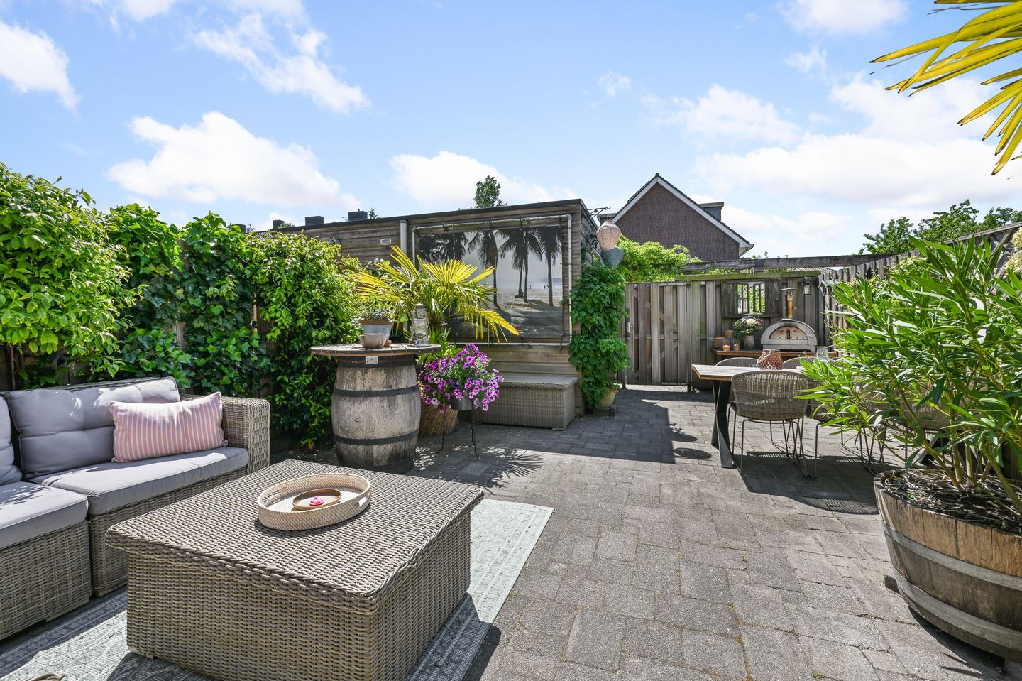 Foto 34 van Veldmuis 40