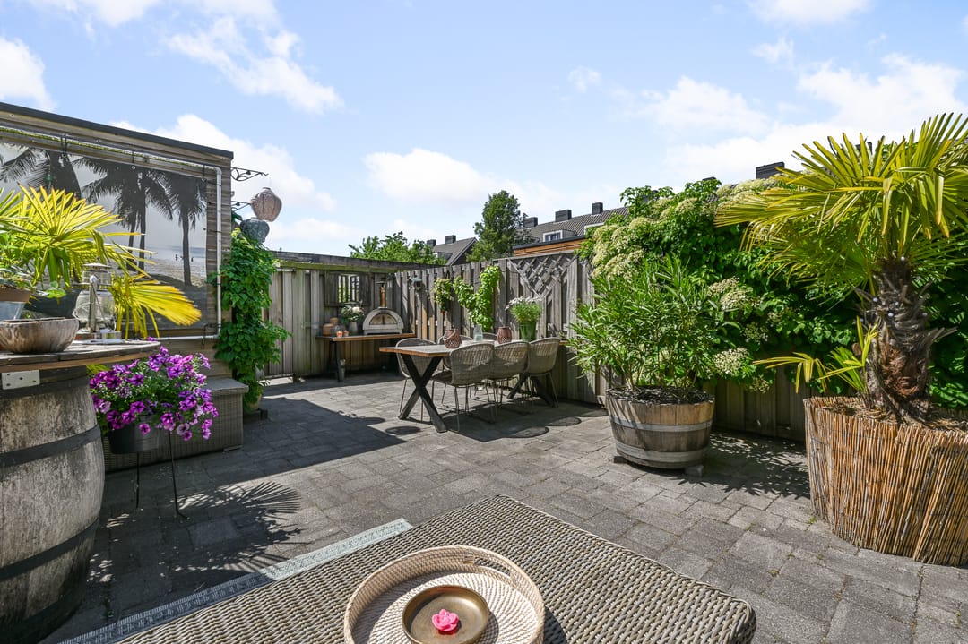 Foto 37 van Veldmuis 40