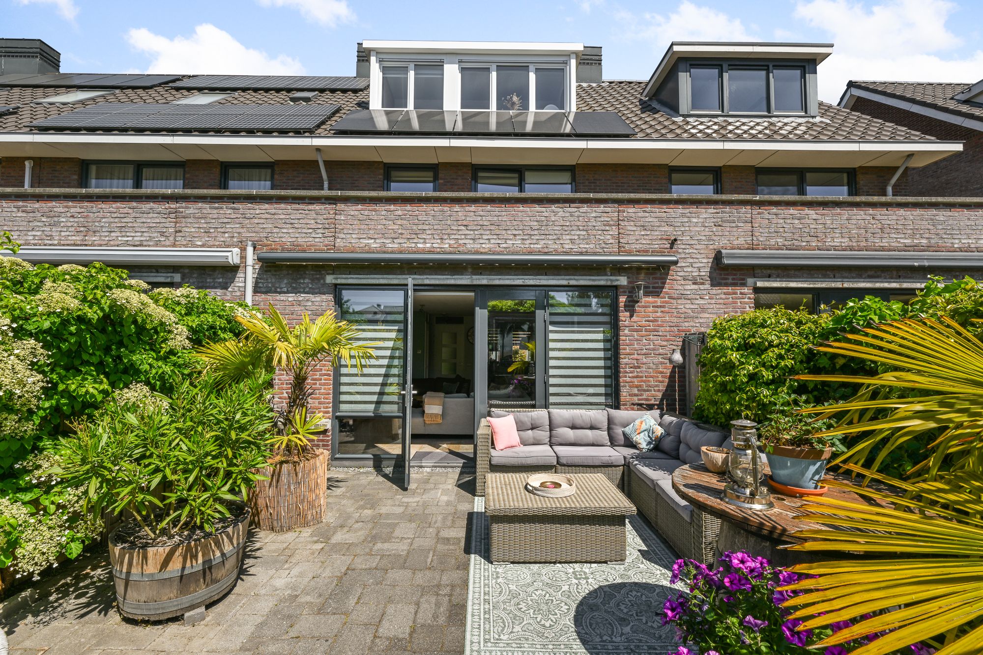 Foto 39 van Veldmuis 40