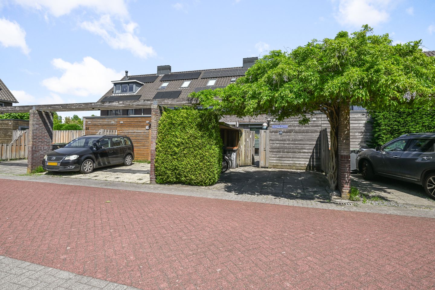 Foto 40 van Veldmuis 40