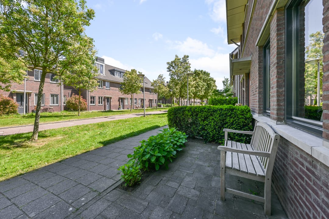 Foto 41 van Veldmuis 40