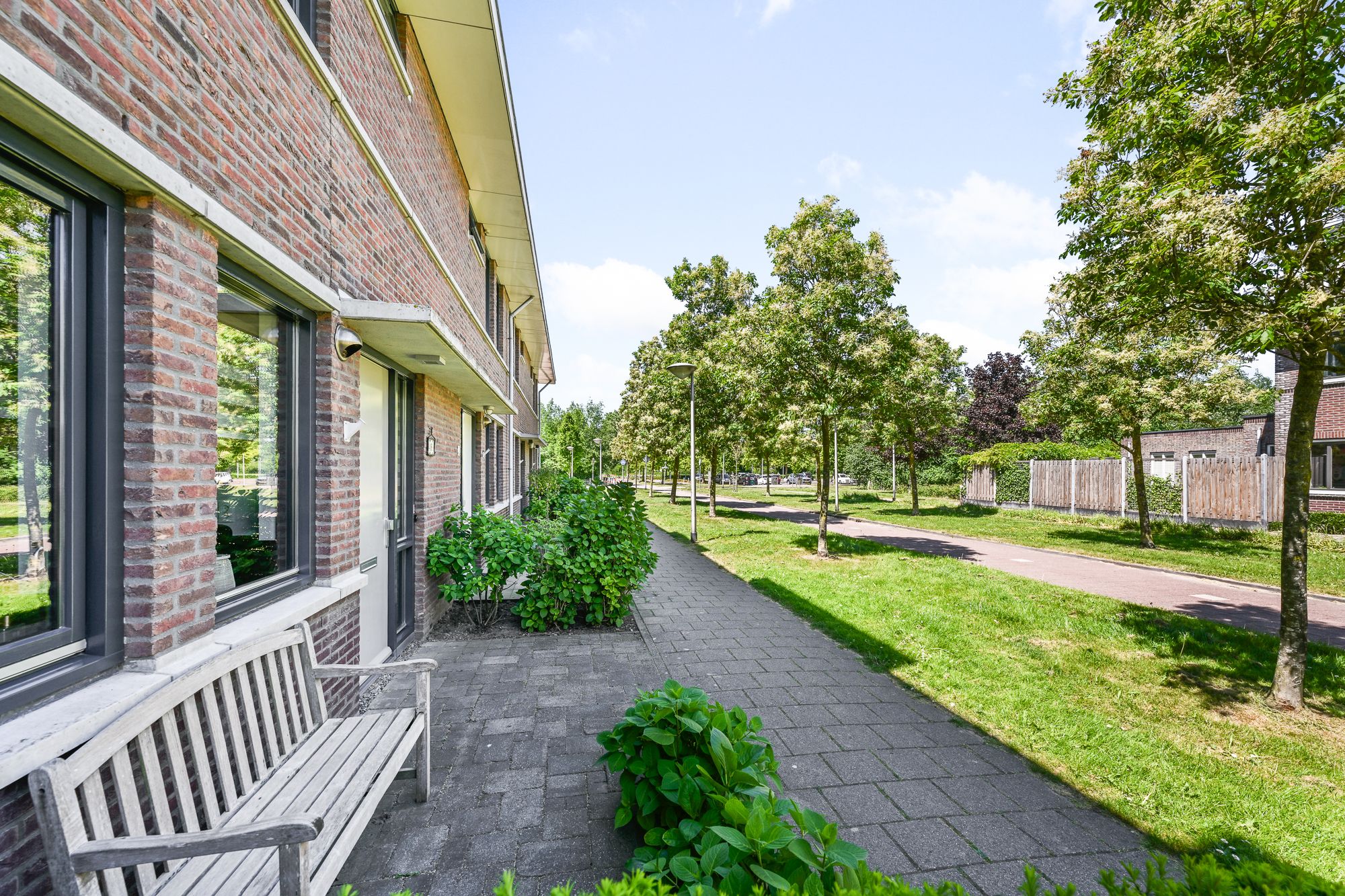 Foto 42 van Veldmuis 40