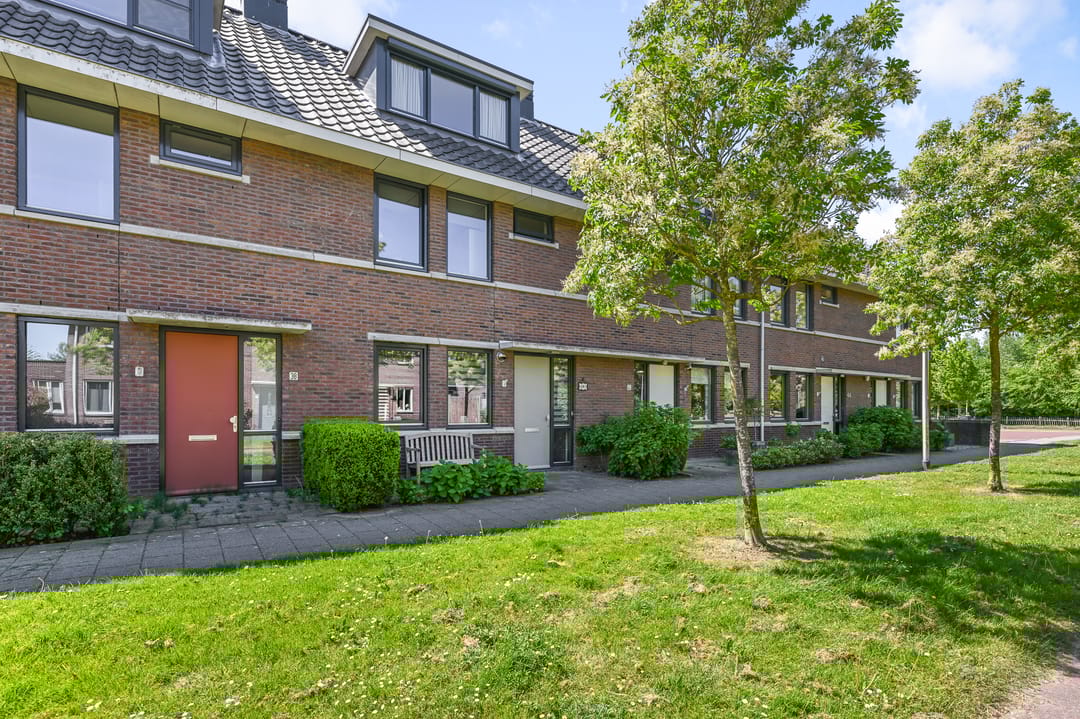 Foto 43 van Veldmuis 40