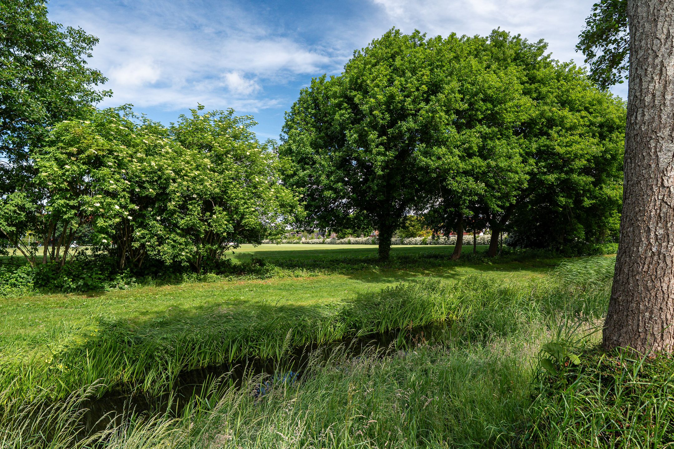 Foto 42 van De Fisker 3