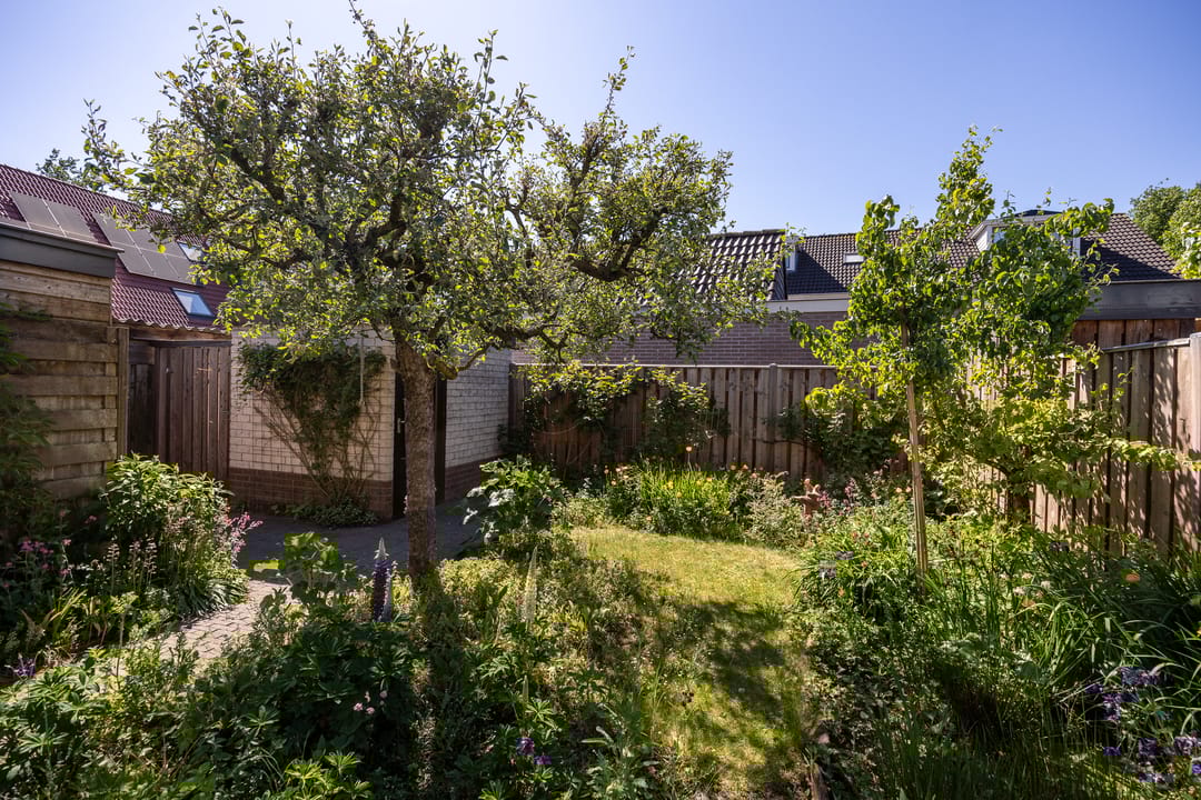 Foto 26 van Rentinckstraat 11