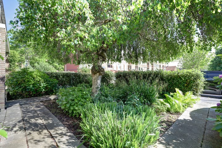 Foto 39 van Schweitzerplein 14