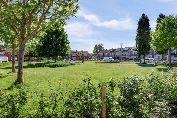 Foto 40 van Schweitzerplein 14