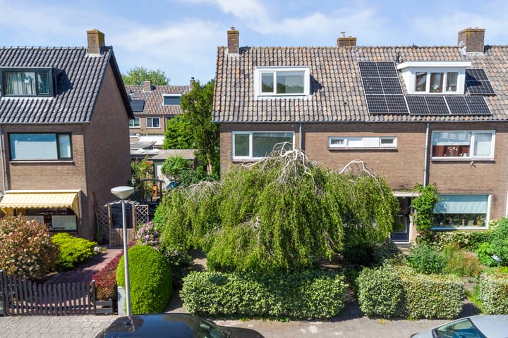 Foto 45 van Schweitzerplein 14