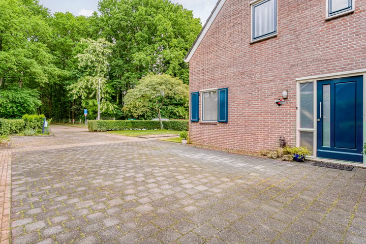 Foto 40 van De Omloop 15