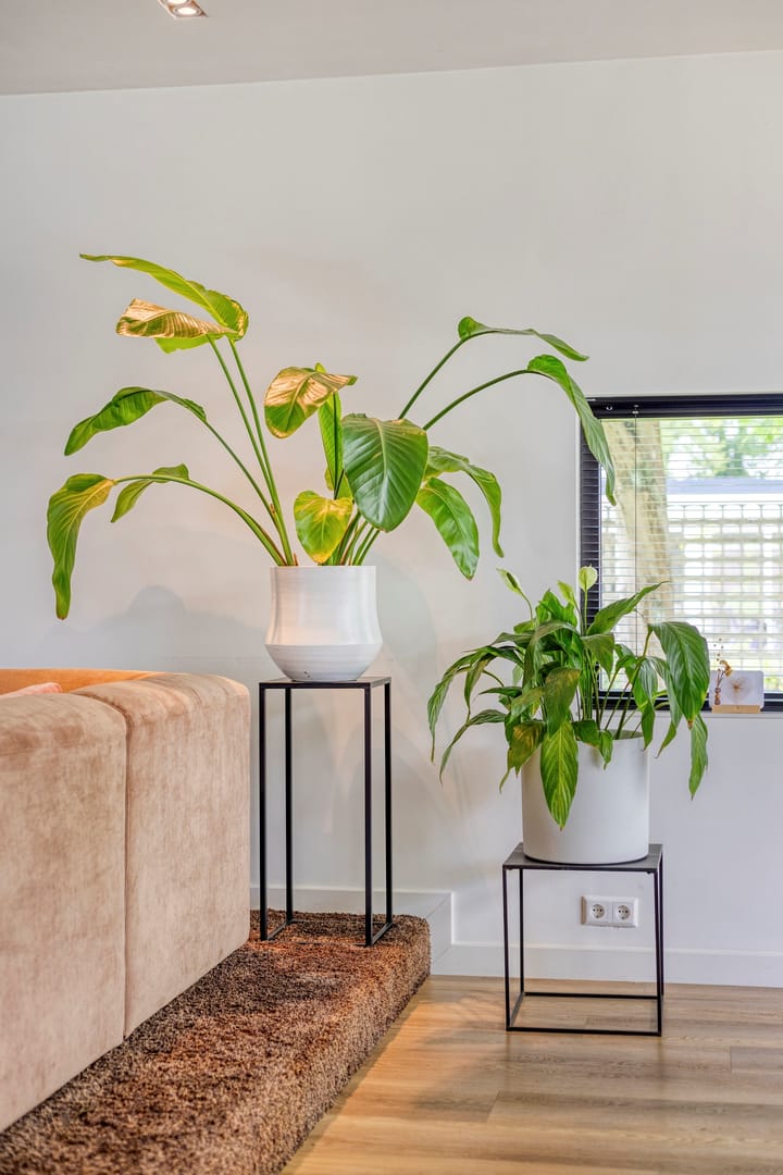 Foto 7 van Visseringlaan 5