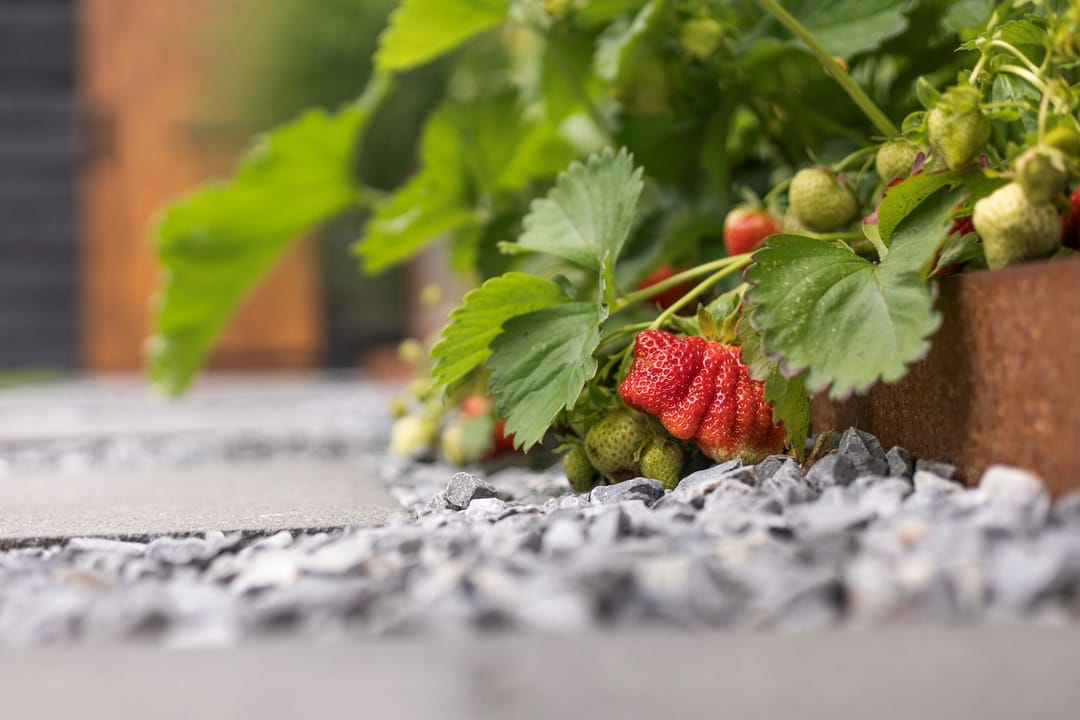 Foto 22 van Prinsessenstraat 15