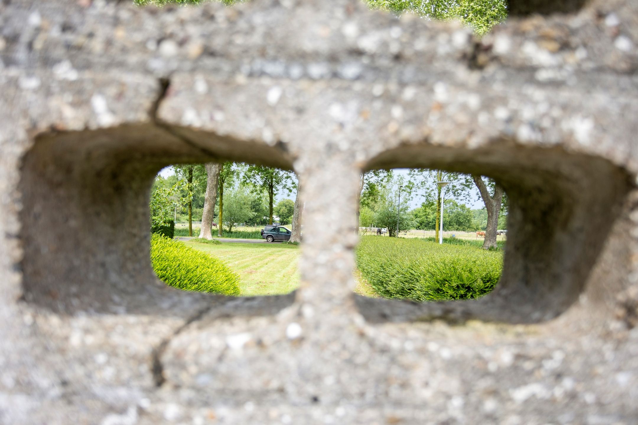 Foto 51 van Visseringlaan 5