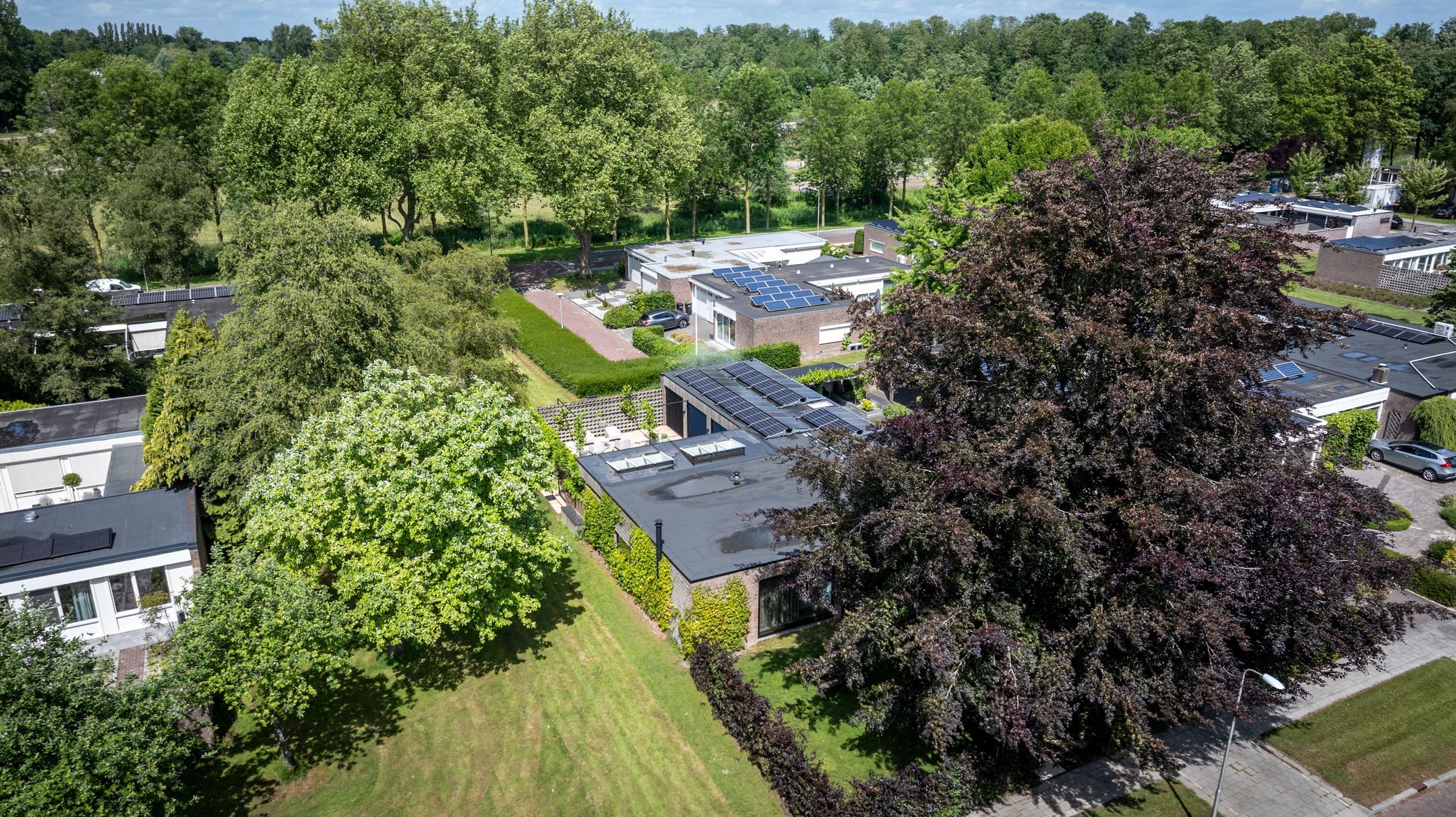 Foto 66 van Visseringlaan 5