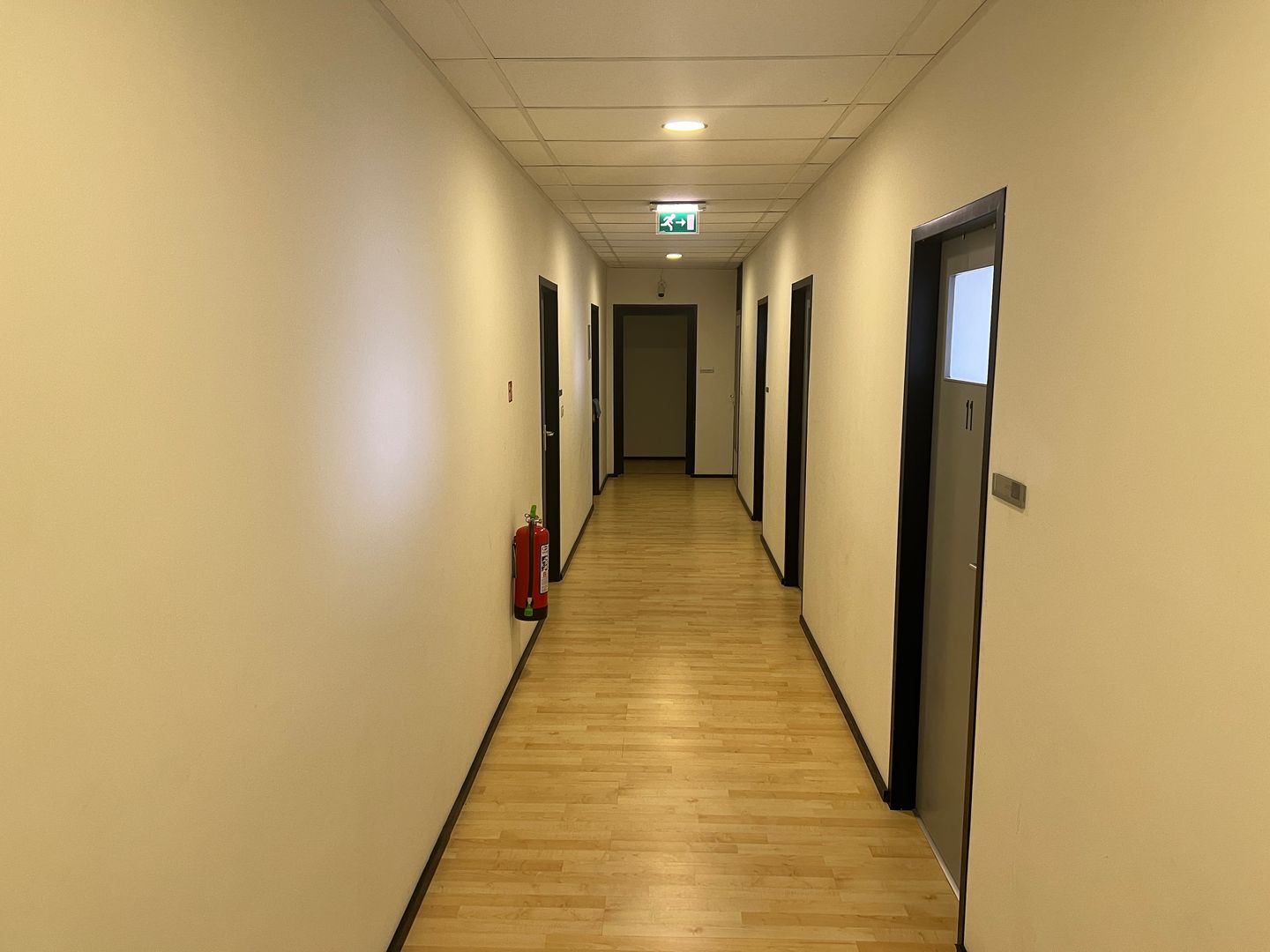 Bekijk foto 5 van Alard du Hamelstraat 33