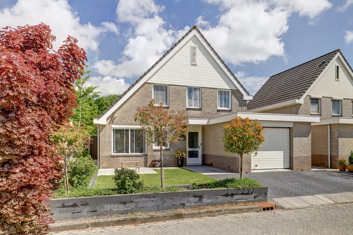 Foto 1 van Gele Varaan 30