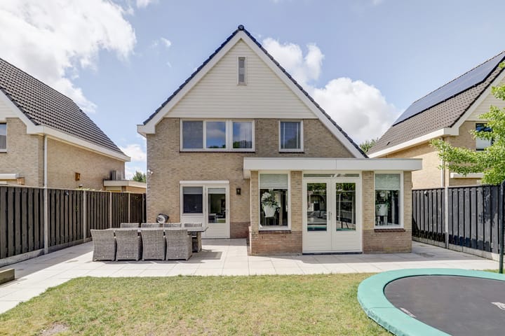 Foto 2 van Gele Varaan 30