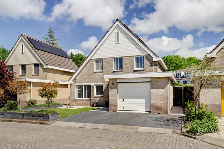 Foto 3 van Gele Varaan 30