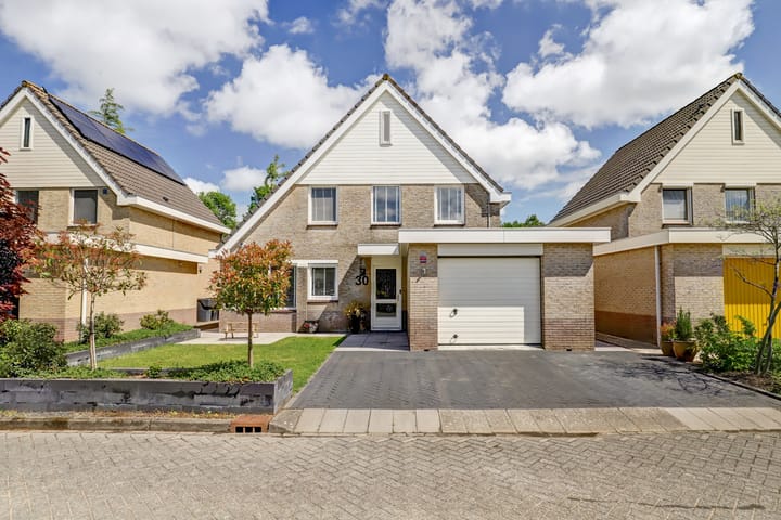 Foto 4 van Gele Varaan 30