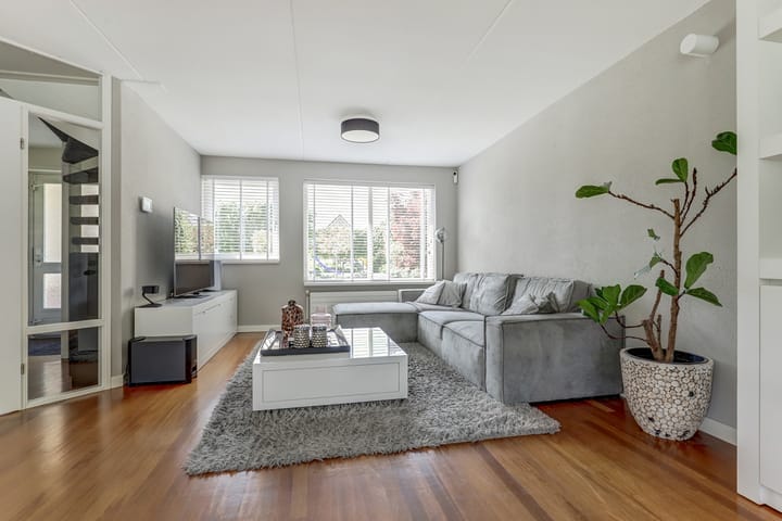 Foto 9 van Gele Varaan 30