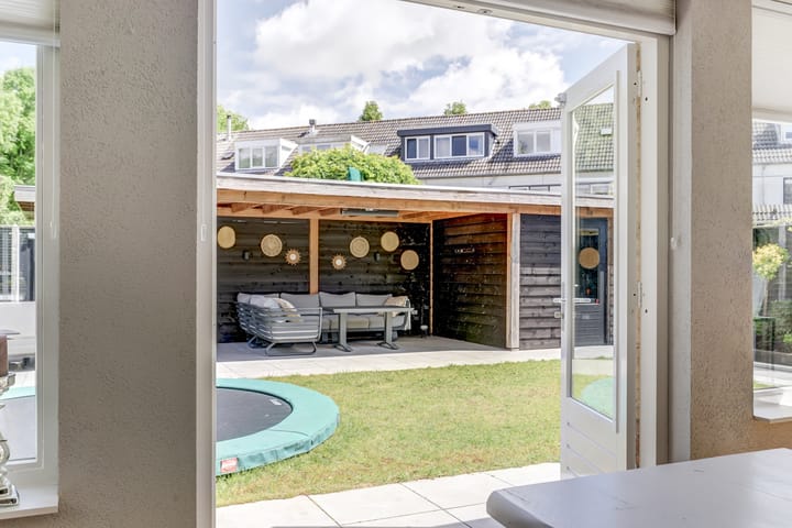 Foto 12 van Gele Varaan 30