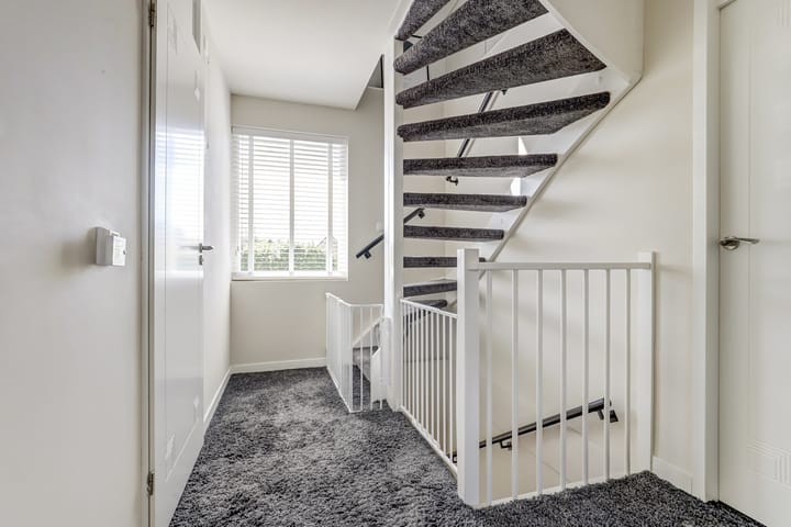 Foto 25 van Gele Varaan 30