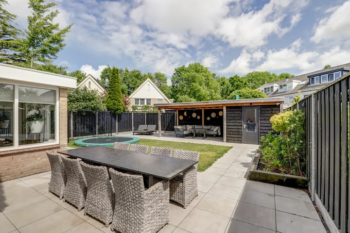 Foto 36 van Gele Varaan 30